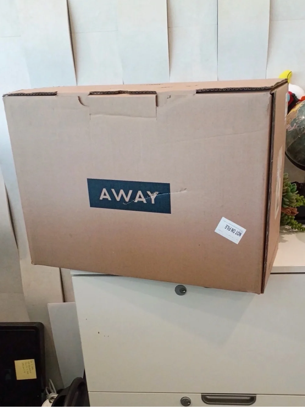 BRAND NEW Away Olive Green Spinner Carry-On